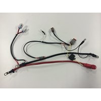 REPLACEMENT WIRE HARNESS FOR SUNSTREAM SUNLIFT